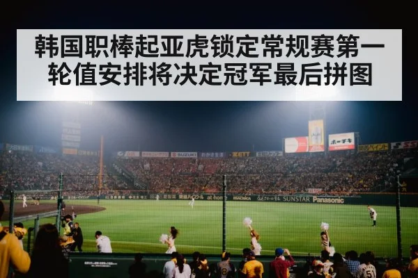 baseball stadium night game crowd